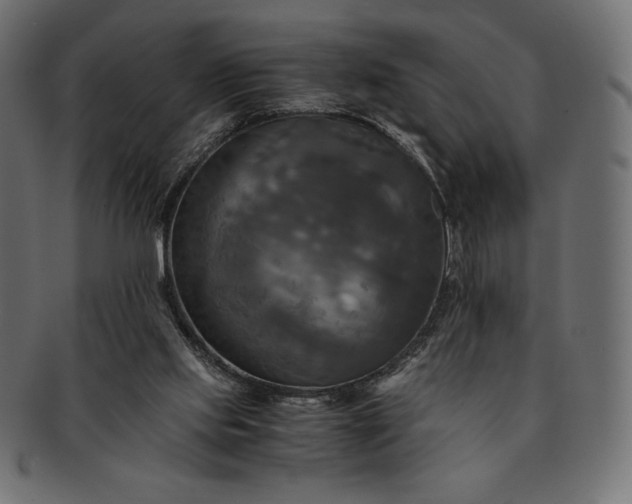 X0000091710061200709071422