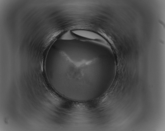 X0000091710062200709071422