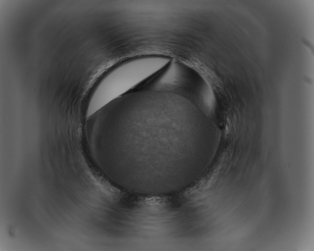 X0000091710064200709071422