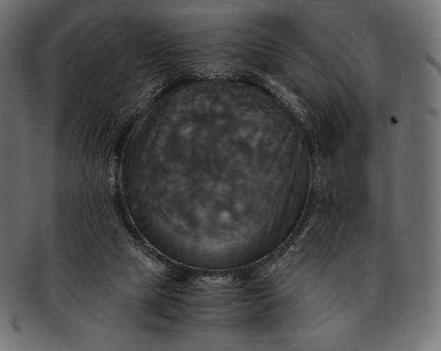 X0000091710065200709071422