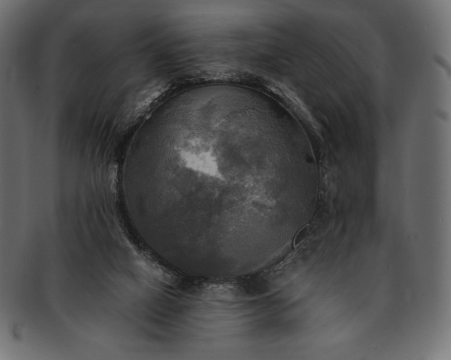 X0000091710066200709071422