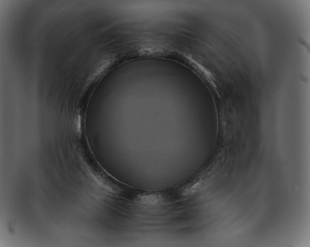 X0000091710067200709071422