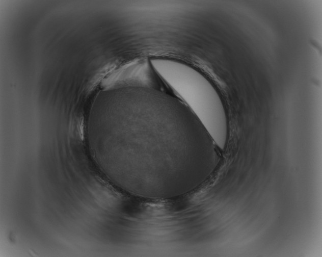 X0000091710068200709071422