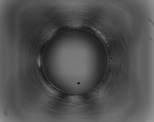 X0000091710069200709071422