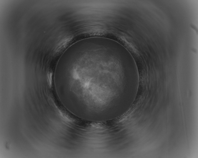 X0000091710070200709071422