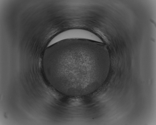 X0000091710071200709071422