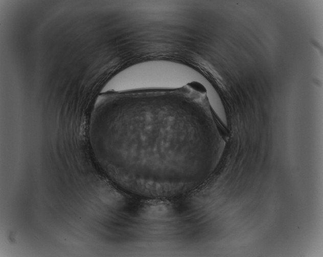 X0000091710073200709071422