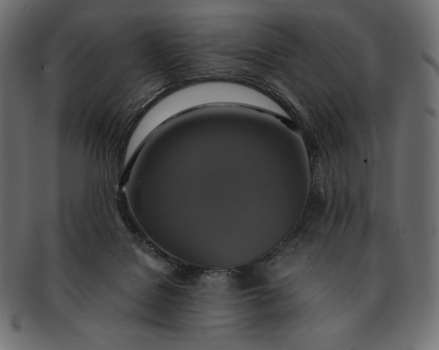 X0000091710076200709071422