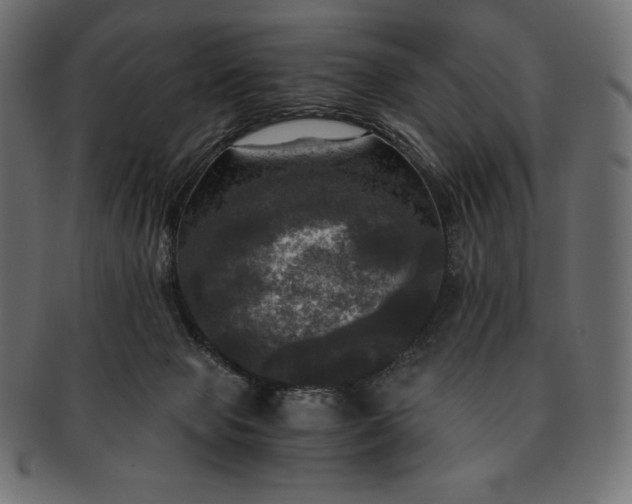 X0000091710077200709071422