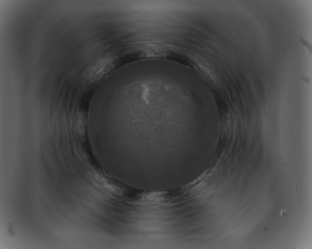 X0000091710078200709071422