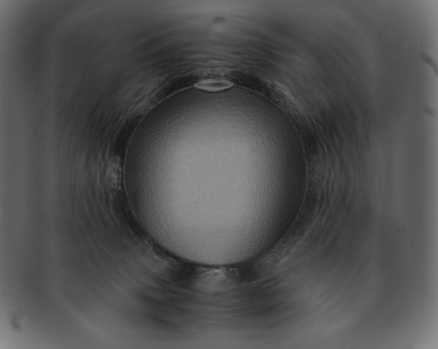 X0000091710083200709071422