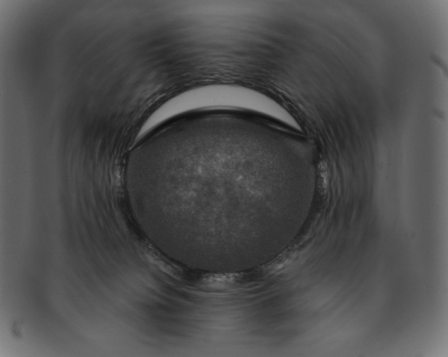 X0000091710084200709071422