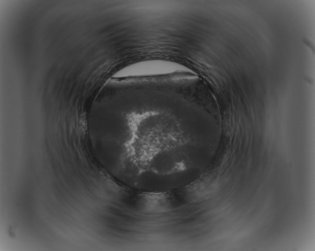 X0000091710085200709071422