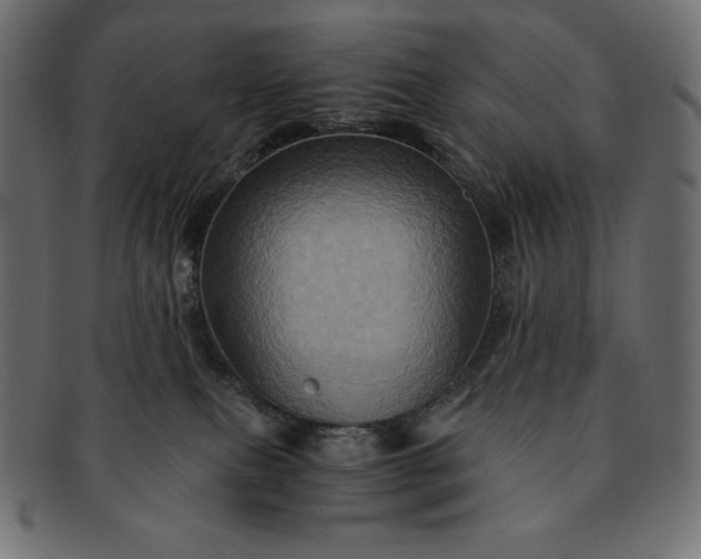 X0000091710087200709071422