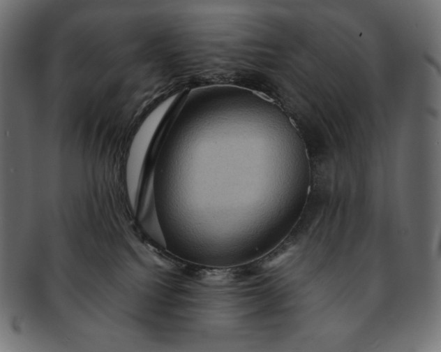 X0000091710088200709071422