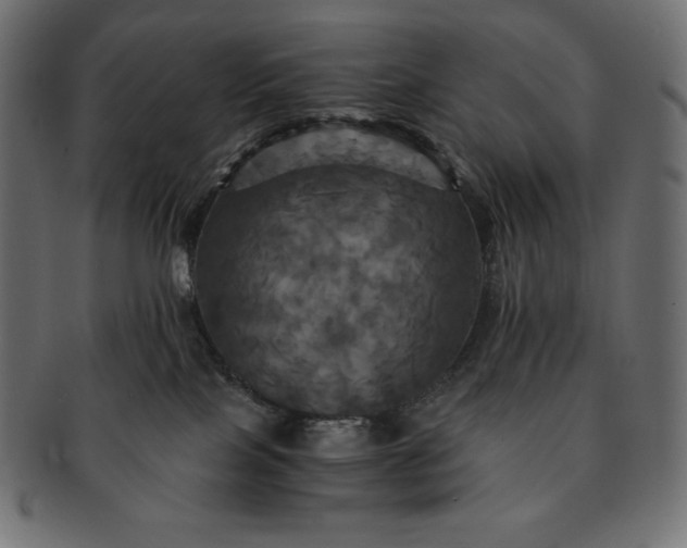 X0000091710089200709071422