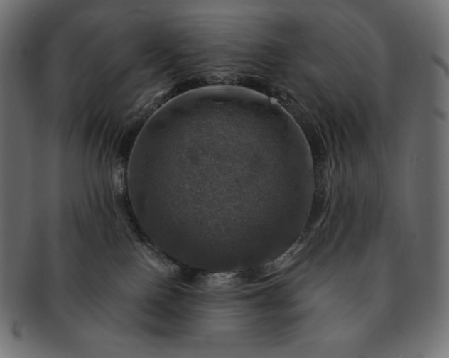 X0000091710090200709071422