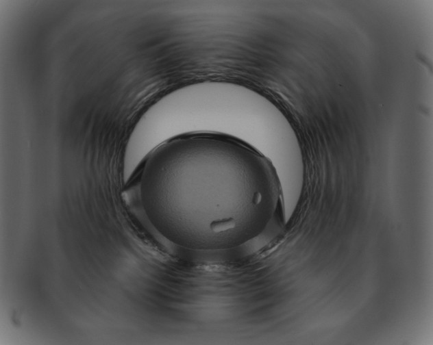 X0000091710092200709071422