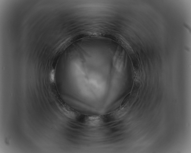 X0000091710095200709071422