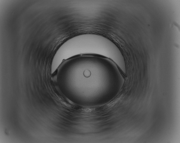 X0000091710096200709071422