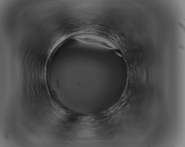 X0000091710100200709071422