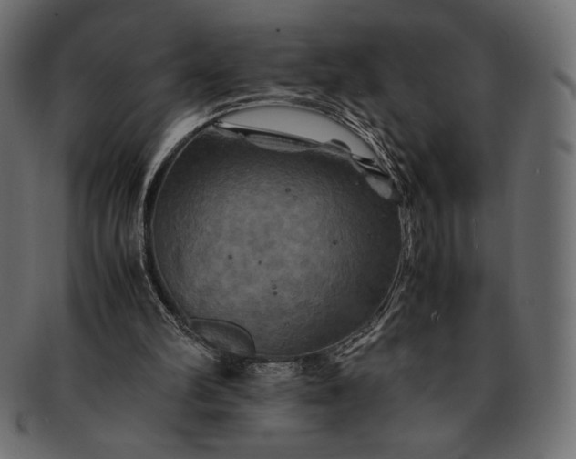 X0000091710102200709071422