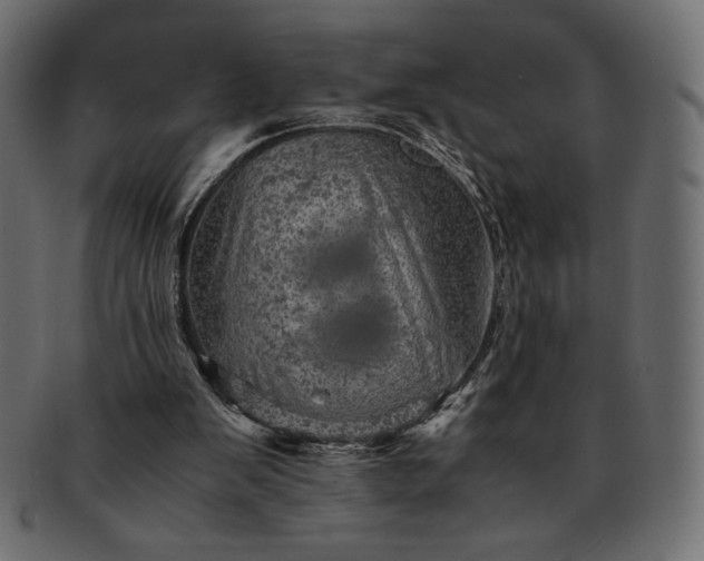 X0000091710103200709071422