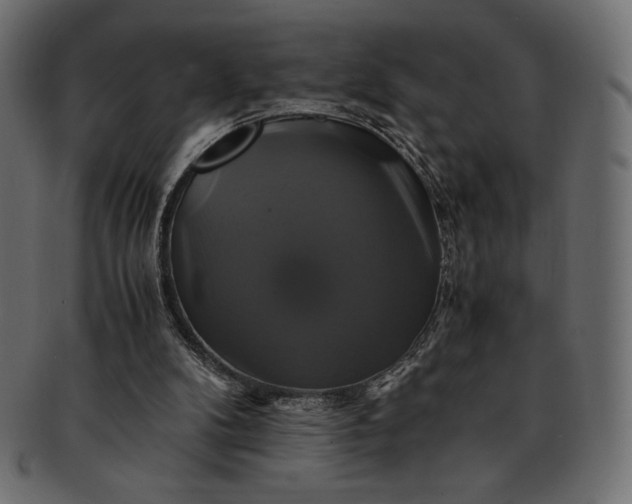 X0000091710104200709071422