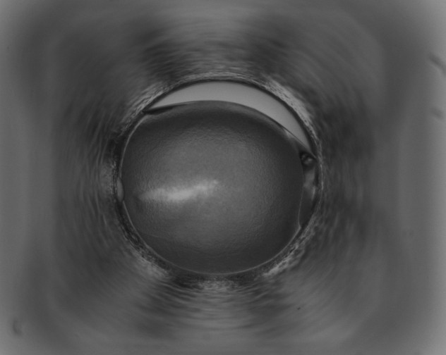 X0000091710105200709071422