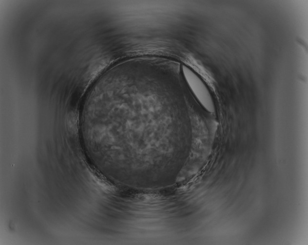 X0000091710107200709071422