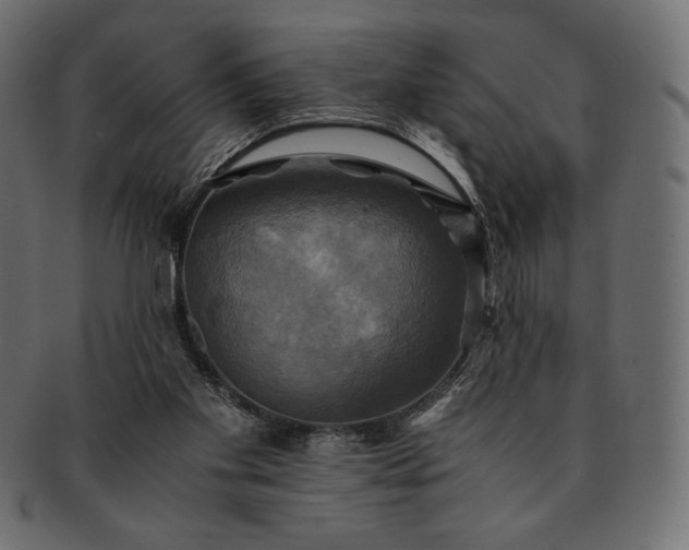 X0000091710109200709071421