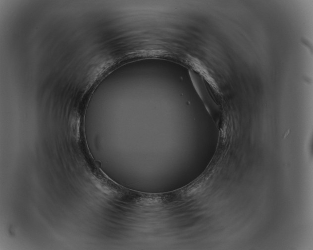 X0000091710110200709071421