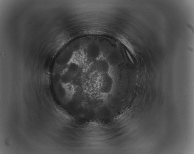 X0000091710111200709071421