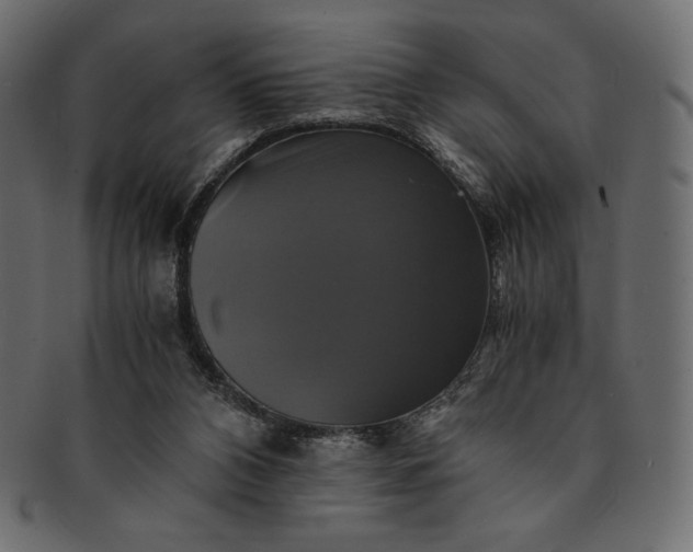 X0000091710112200709071421