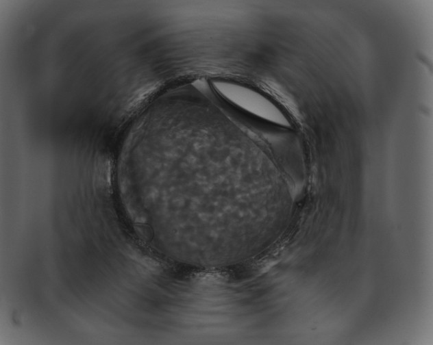 X0000091710115200709071421