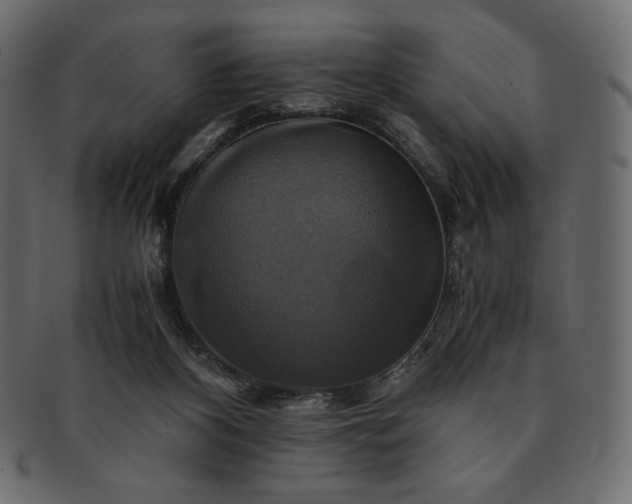 X0000091710116200709071421