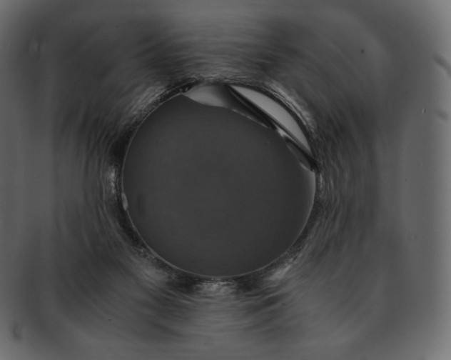 X0000091710117200709071421