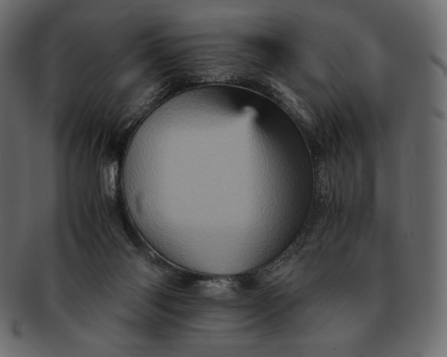 X0000091710118200709071421