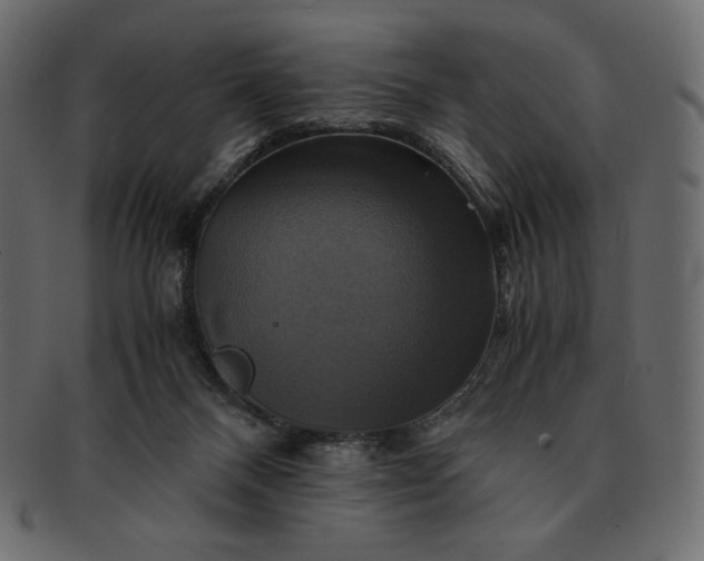 X0000091710120200709071421