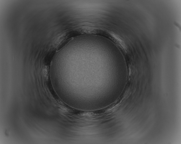 X0000091710121200709071421