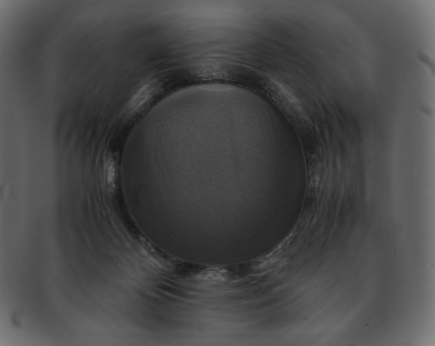 X0000091710124200709071421