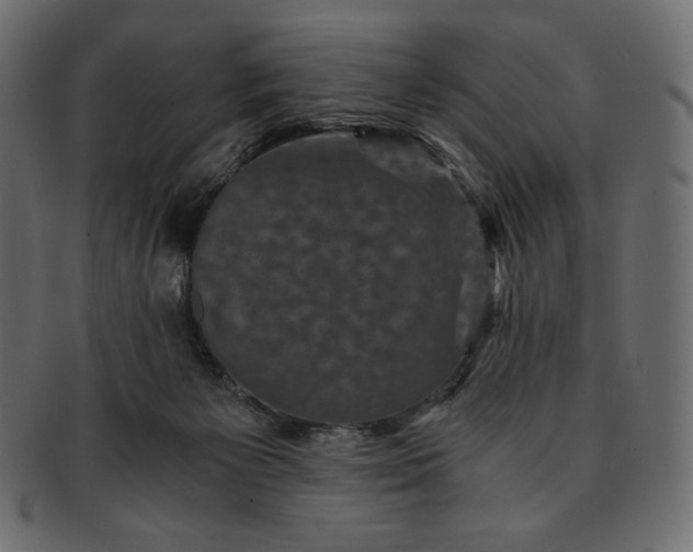 X0000091710125200709071421