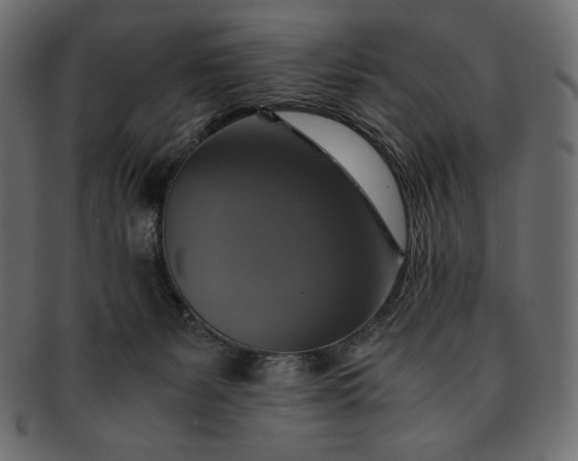 X0000091710127200709071421