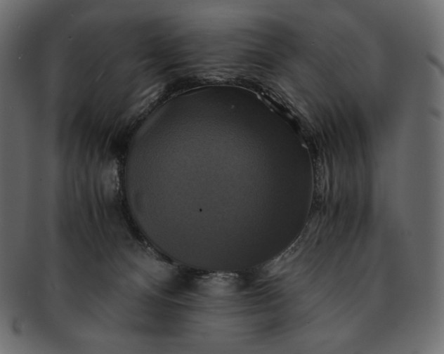 X0000091710128200709071421