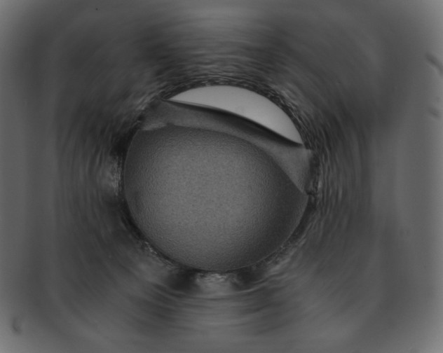 X0000091710129200709071421