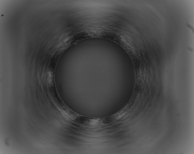 X0000091710130200709071421