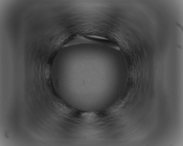 X0000091710133200709071421