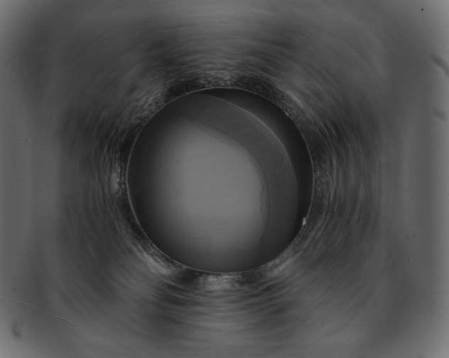 X0000091710134200709071421