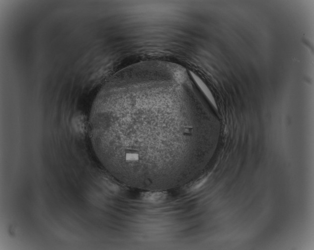 X0000091710135200709071421