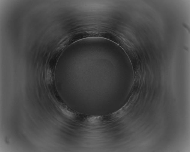 X0000091710136200709071421